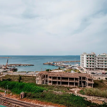 Nova Domus 6, Emma Gallipoli